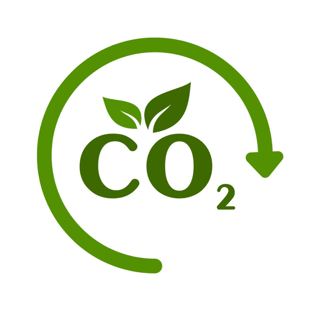 CO2 icon